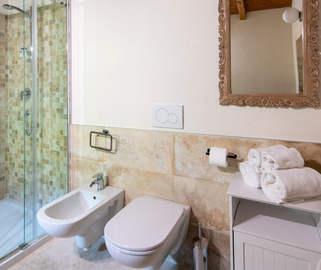 Master Apartment Corvina - bathroom