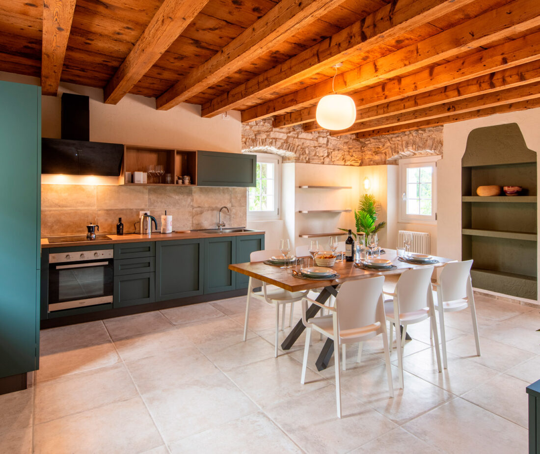 Master Apartment Corvina - kitchen