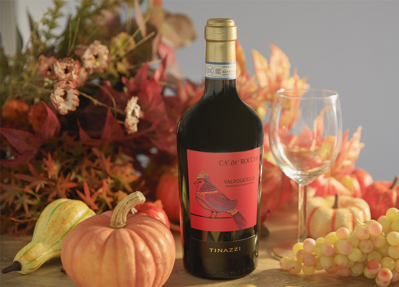 Celebrate Autumn Flavours: Two Cozy Recipes and Perfect Wine Pairings from Tinazzi. Pumpkin Risotto with Valpolicella Dop Ca’ de’ Rocchi